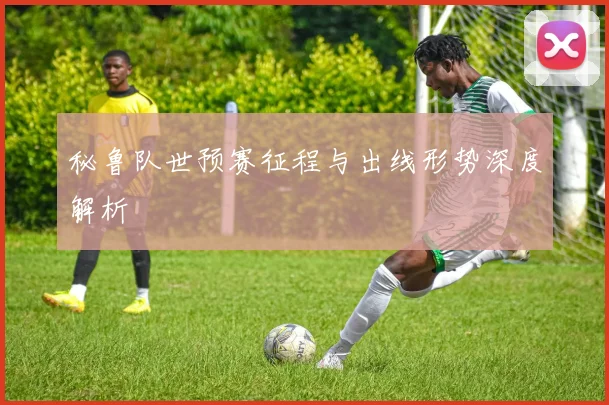 秘鲁队世预赛征程与出线形势深度解析