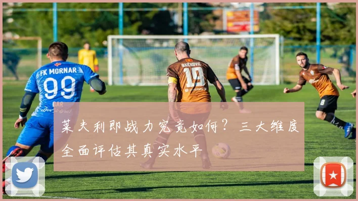莱夫利即战力究竟如何？三大维度全面评估其真实水平