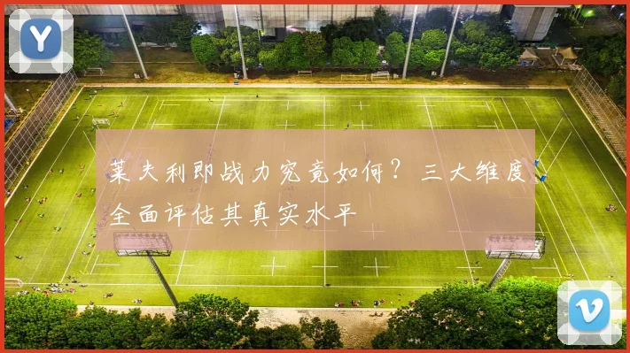 莱夫利即战力究竟如何？三大维度全面评估其真实水平