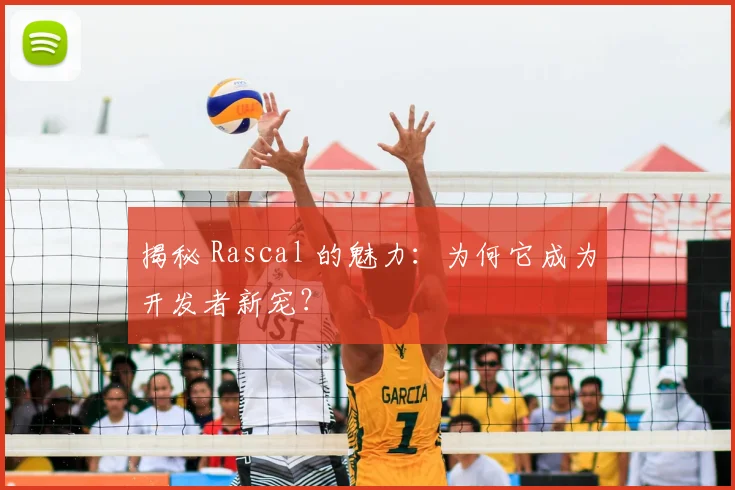 揭秘 Rascal 的魅力：为何它成为开发者新宠？